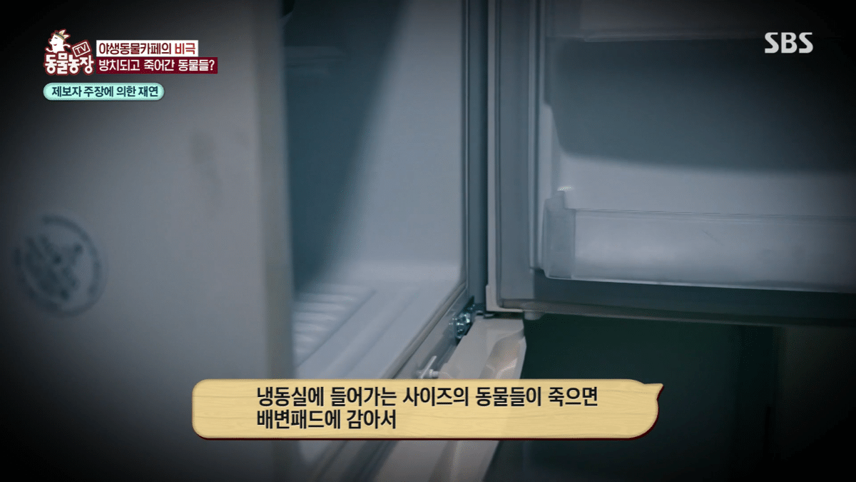 현재 난리난 동물농장에 나온 동물카페 사장.jpg | 인스티즈