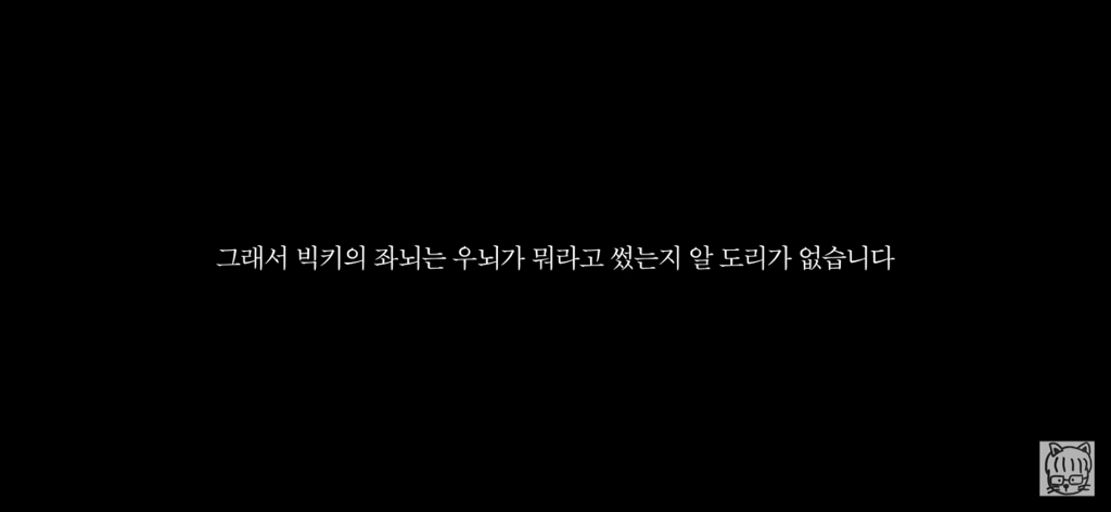 (스압)분리 뇌 실험 | 인스티즈