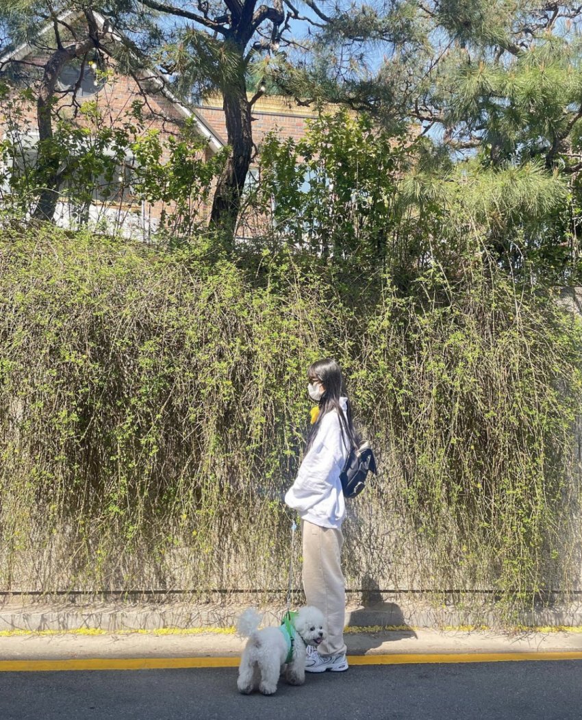 오늘자 수지 인스타그램.jpg | 인스티즈