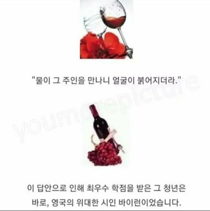 문과가 세상을 지배하는 이유 | 인스티즈