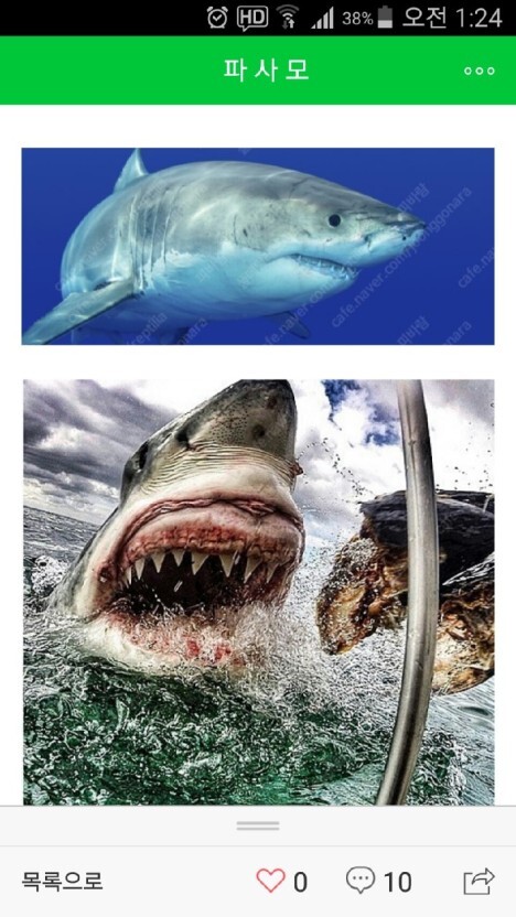 상어의 구강구조 ㄷㄷㄷㄷ.JPGIF | 인스티즈