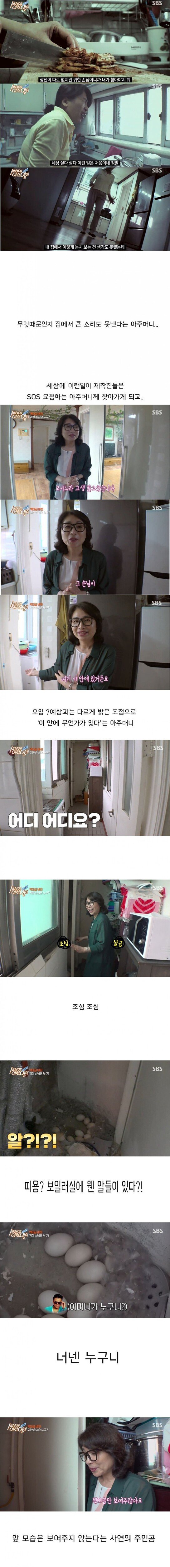 [세상에이런일이] 원앙 새끼 부화 시키기 레전드 ㄷㄷㄷ | 인스티즈