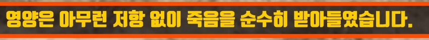 인간외에 자살을 선택하는 동물이 있을까? | 인스티즈
