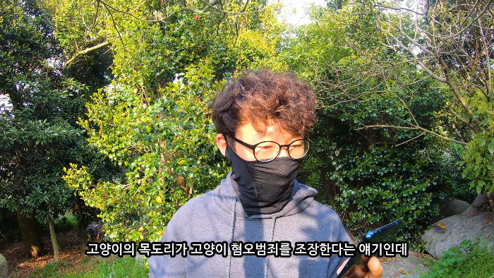 [사진100장스압] 고양이가 자연생태계에 끼치는 심각한 영향 | 인스티즈