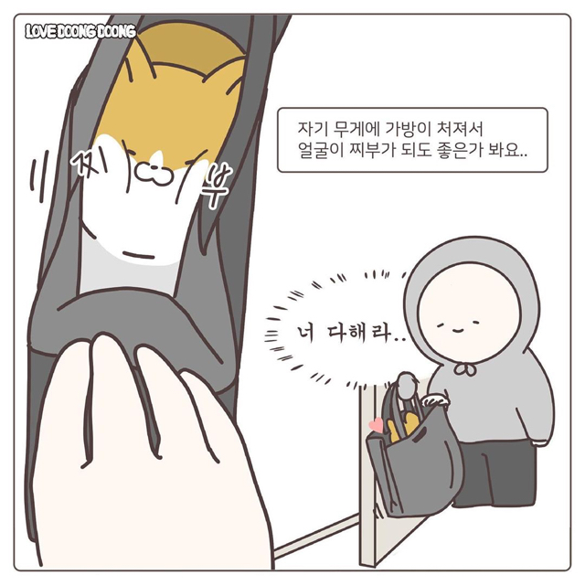 프라이탁 가방에 환장하는 냥이.gif | 인스티즈