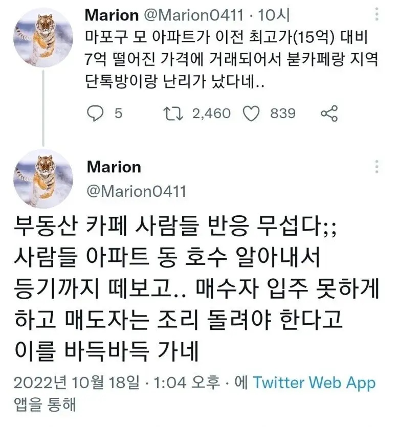 난리났다는 마포구 근황 | 인스티즈