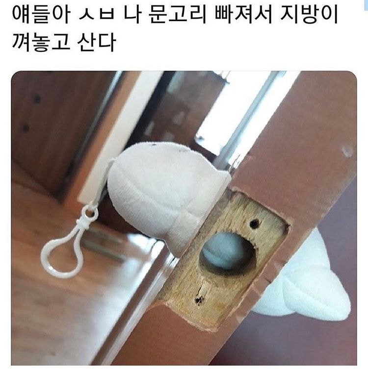 당면 이거 양 많냐(스압) | 인스티즈