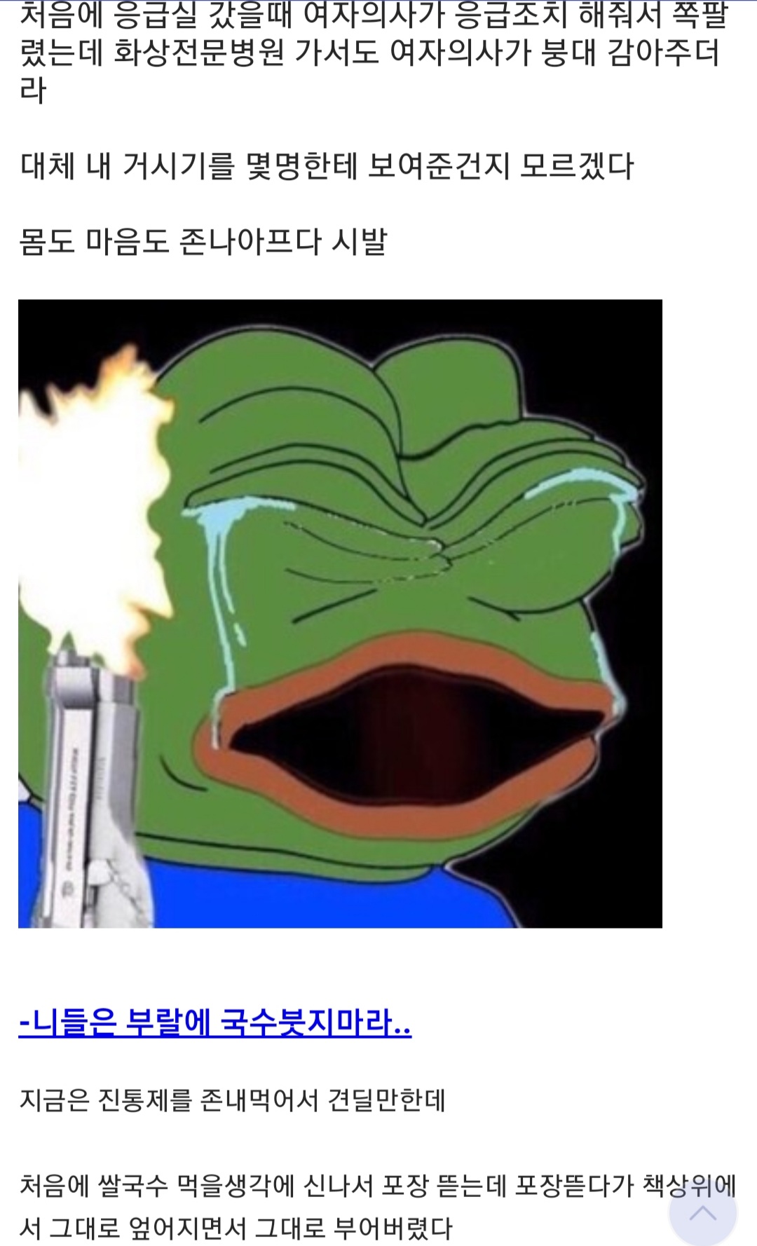 랄부에 화상입은 디씨인.txt | 인스티즈