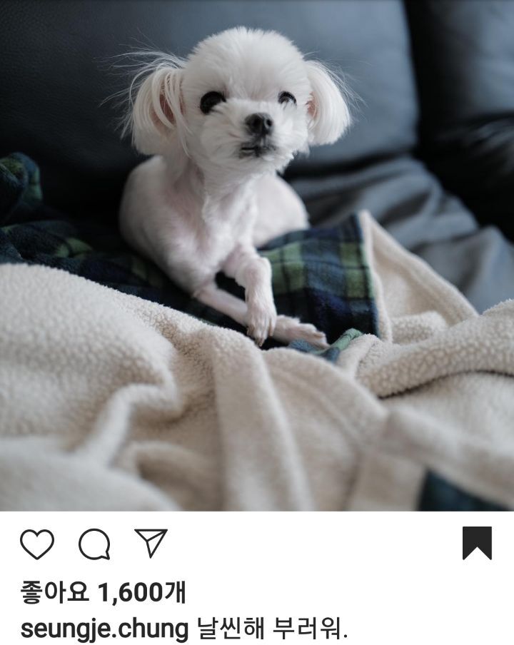 a874f57d02d97aed911257ddc3cf8ec1548a5ecd