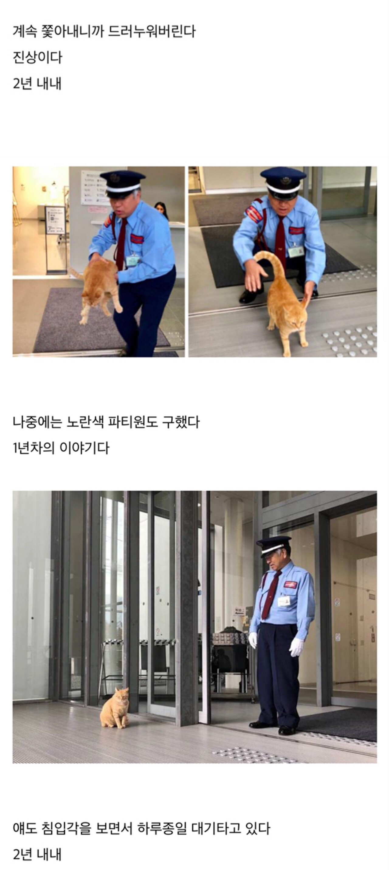 2년동안 미술관에 침입을 시도한 고양이.jpgif | 인스티즈