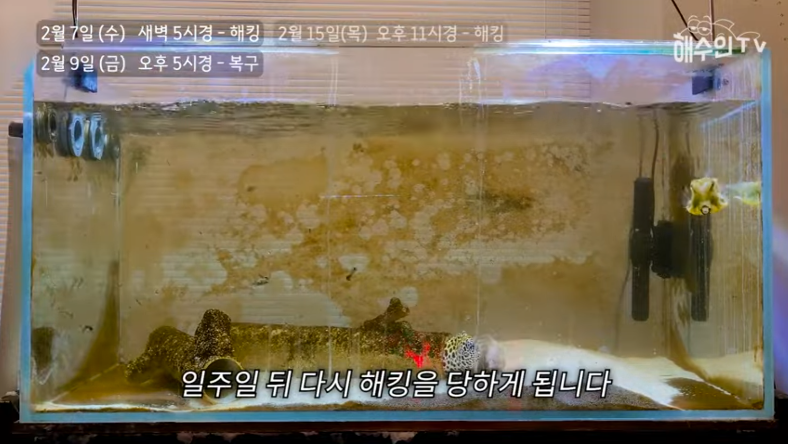 유튜브 계정이 3번이나 해킹 당한 이유 | 인스티즈