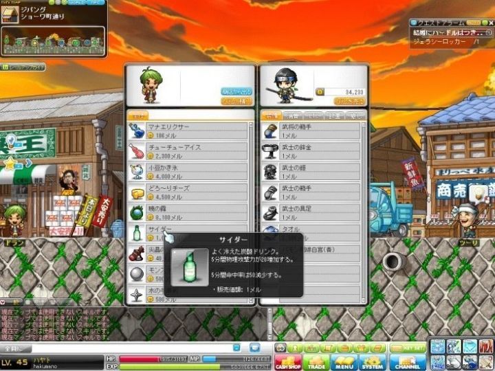 옛날 메이플스토리 추억의 희귀템들 - 1 | 인스티즈