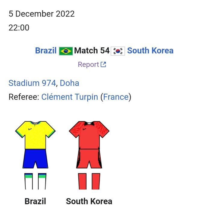 일본vs크로아티아 / 브라질vs대한민국 주심 확정 | 인스티즈