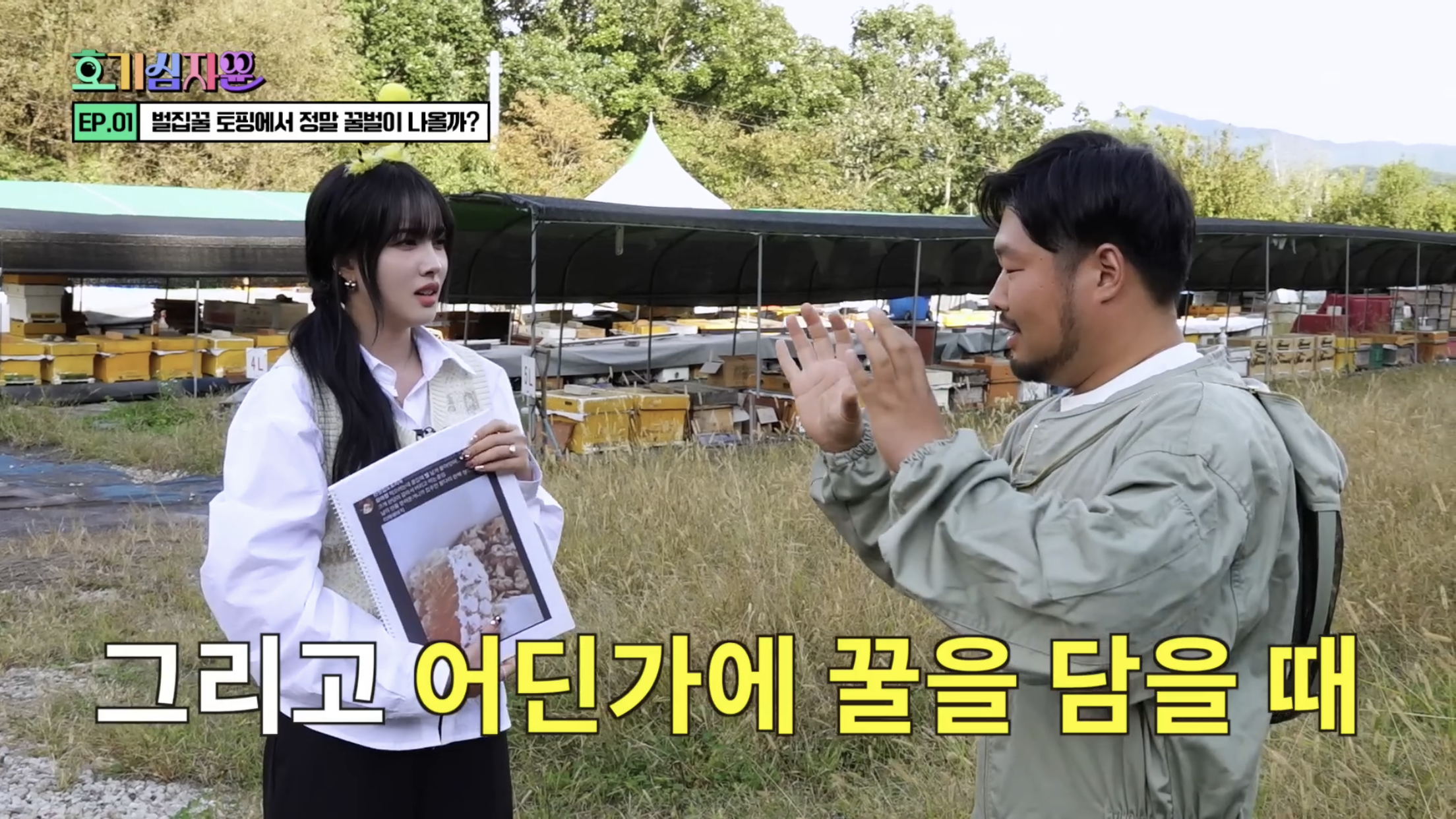 요거트 아이스크림 벌집꿀에서 나오는 벌의 정체............jpg | 인스티즈