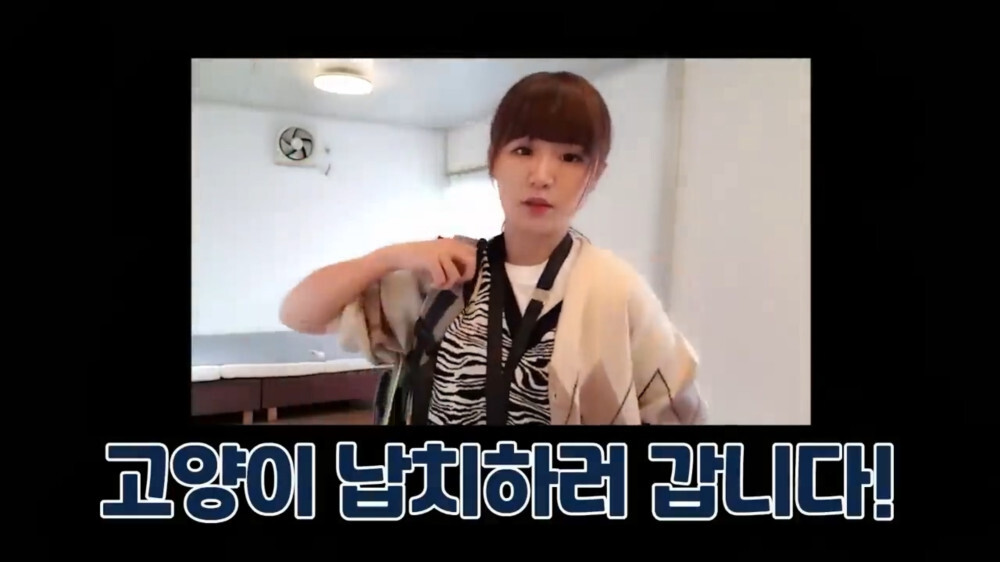 [스압주의] 일본인 캣맘 유튜버 2편 - 3천만원짜리 고양이 집 지음 | 인스티즈