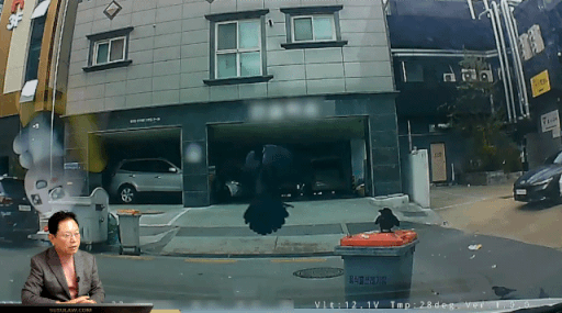 한문철tv 레전드.gif | 인스티즈