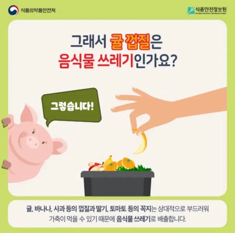 귤껍질 일반쓰레기에 버리지마라... 과태료 10만원 먹었다 | 인스티즈
