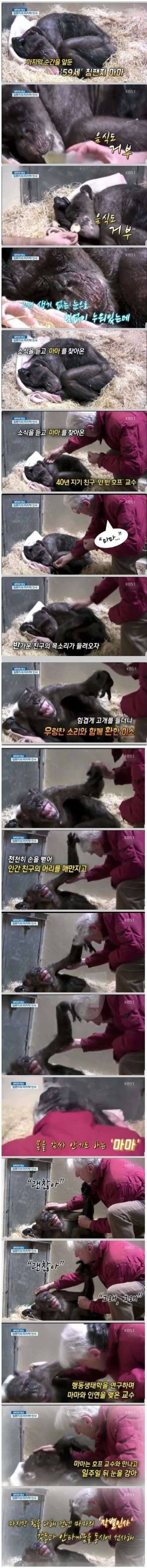 40년 친구와의 마지막 인사.jpg | 인스티즈