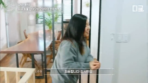 개랑 고양이 같이 키우는 집에서 방송하다 사고나서 깜짝 놀란 강형욱 | 인스티즈