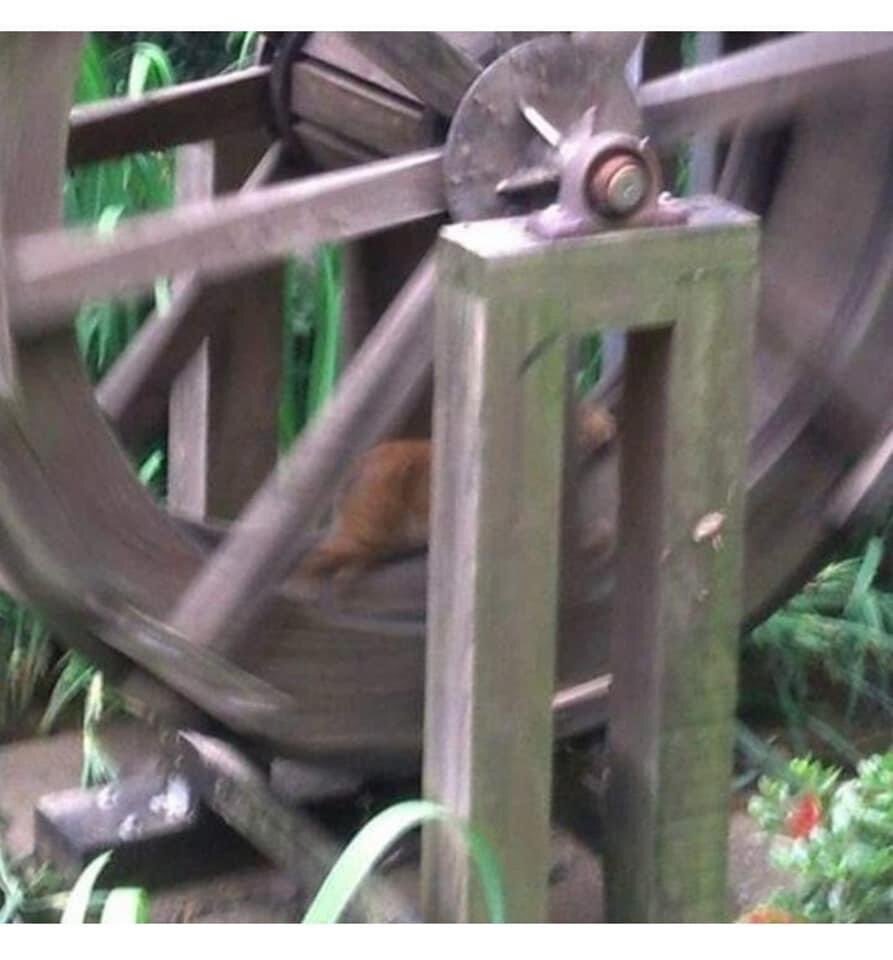 물 없이 돌아가는 물레방아의 비밀.jpg | 인스티즈