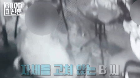 로또 당첨 레전드 | 인스티즈