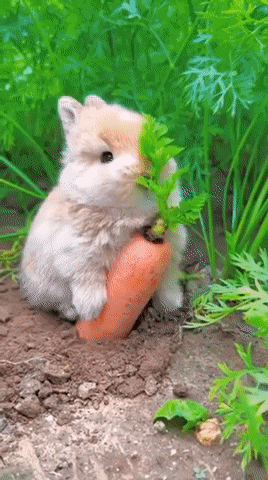 다들 보고가셈 | 인스티즈