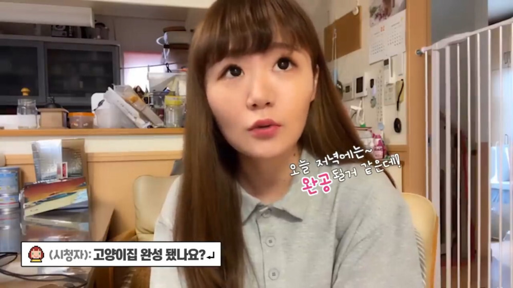 [스압주의] 일본인 캣맘 유튜버 2편 - 3천만원짜리 고양이 집 지음 | 인스티즈