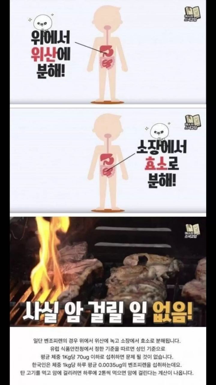 탄 고기가 위험한 이유 | 인스티즈