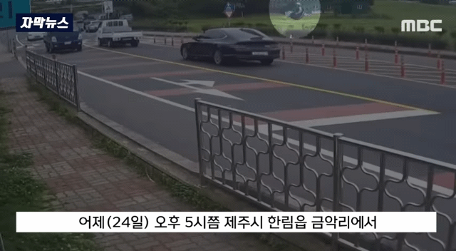 (제주도)하늘에서 떨이지는 사람과 사고난 차.. | 인스티즈