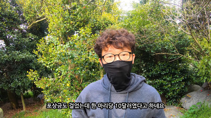 [사진100장스압] 고양이가 자연생태계에 끼치는 심각한 영향 | 인스티즈