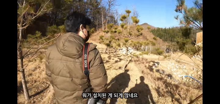 도로 위 야생동물 생태통로를 이용하는 동물들.jpg | 인스티즈