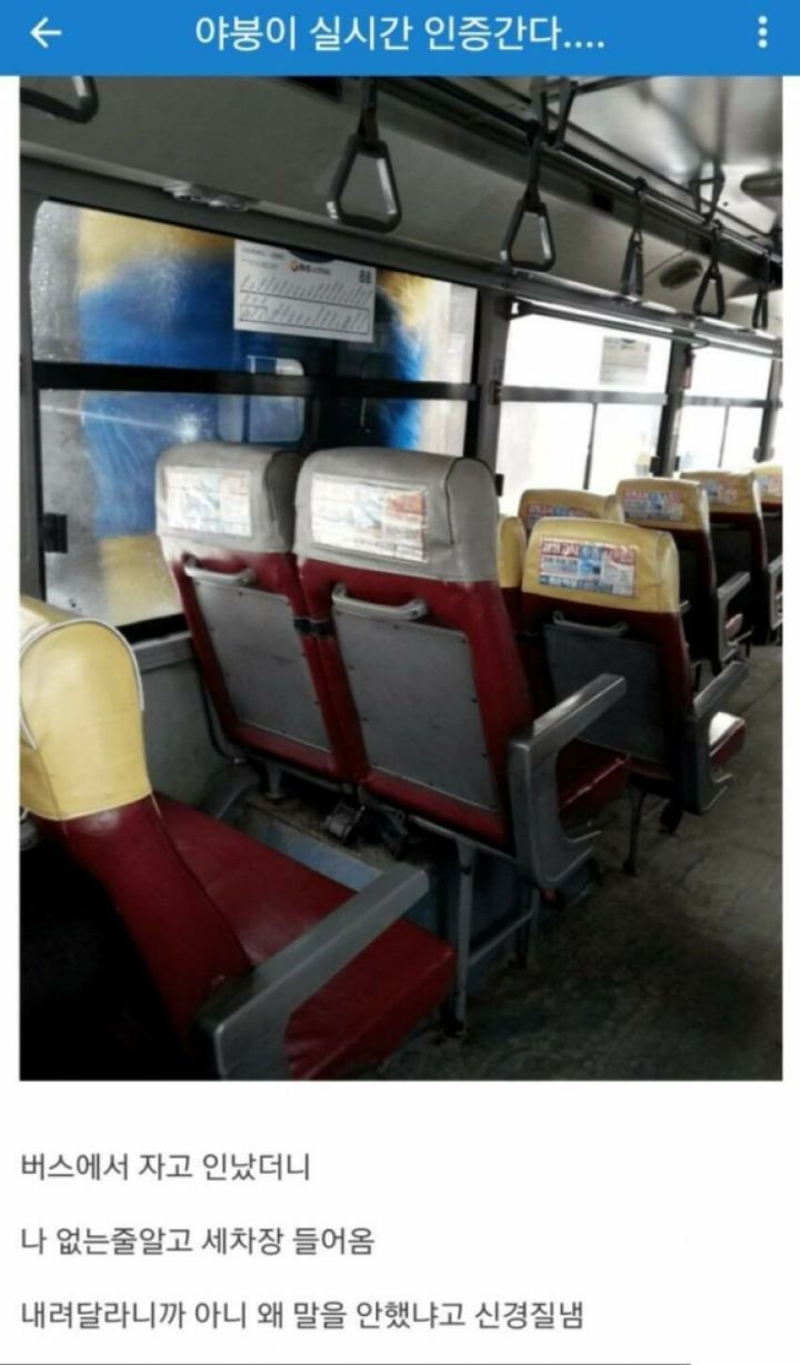 야붕이 실시간 x된 모음집 | 인스티즈