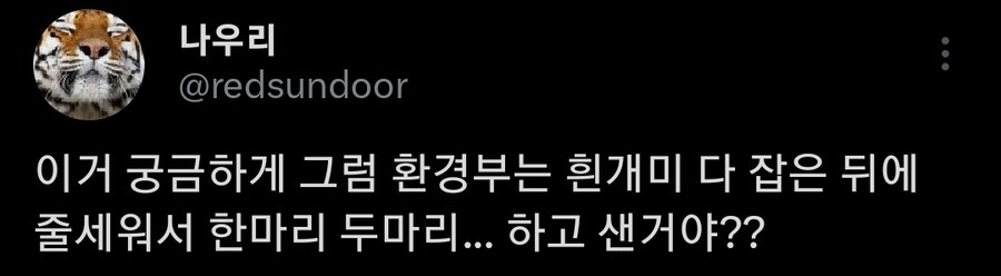흰개미 완전박멸이라고? 어떻게 장담해? | 인스티즈