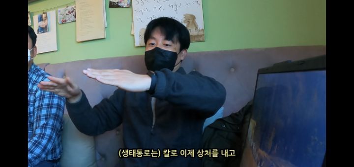 도로 위 야생동물 생태통로를 이용하는 동물들.jpg | 인스티즈