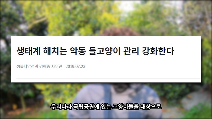 [사진100장스압] 고양이가 자연생태계에 끼치는 심각한 영향 | 인스티즈