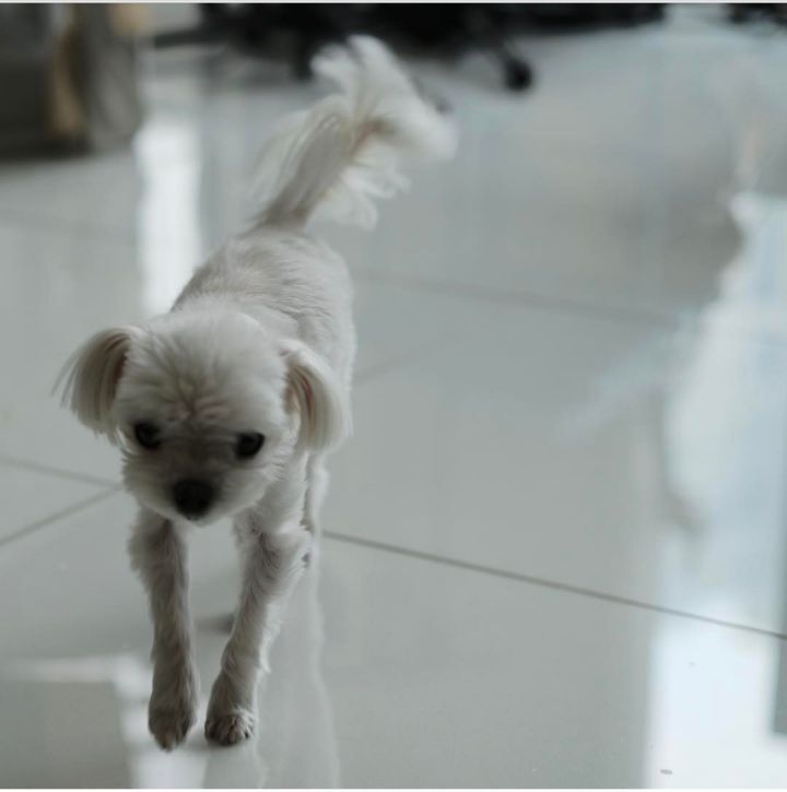 ad51c1884e0d0312648bd6c88ca1097202f01e8a