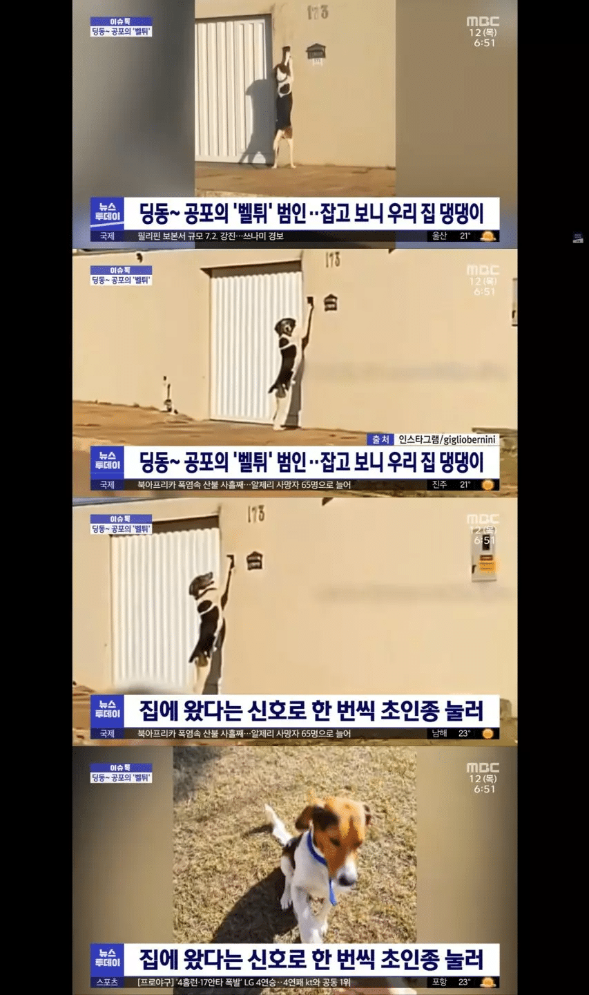 벨튀하는범인 잡고나서보니.. | 인스티즈