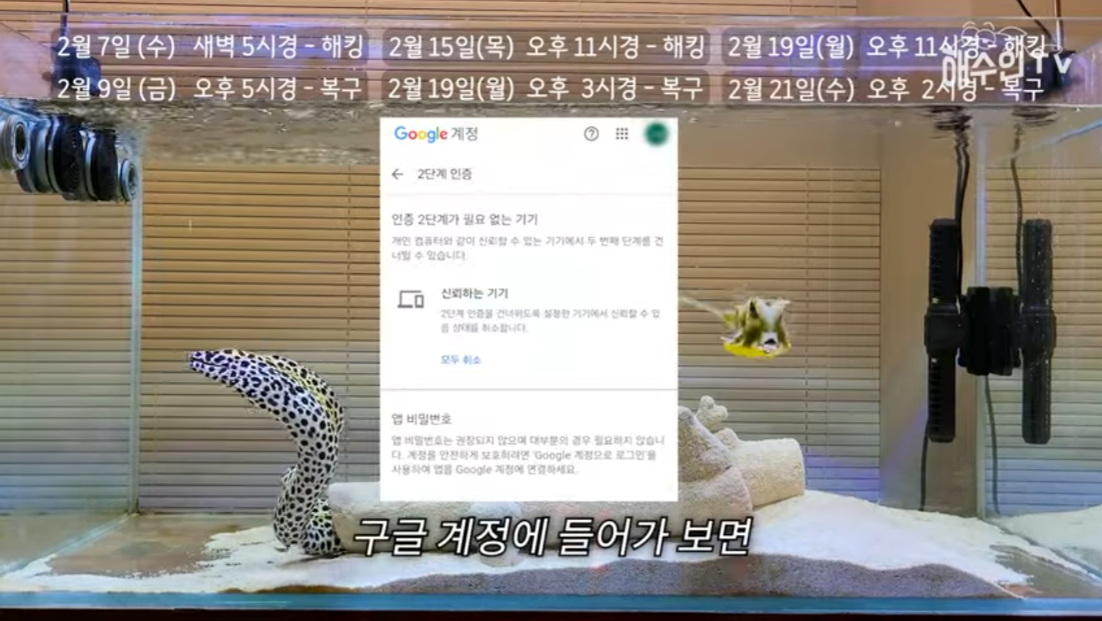 유튜브 계정이 3번이나 해킹 당한 이유 | 인스티즈