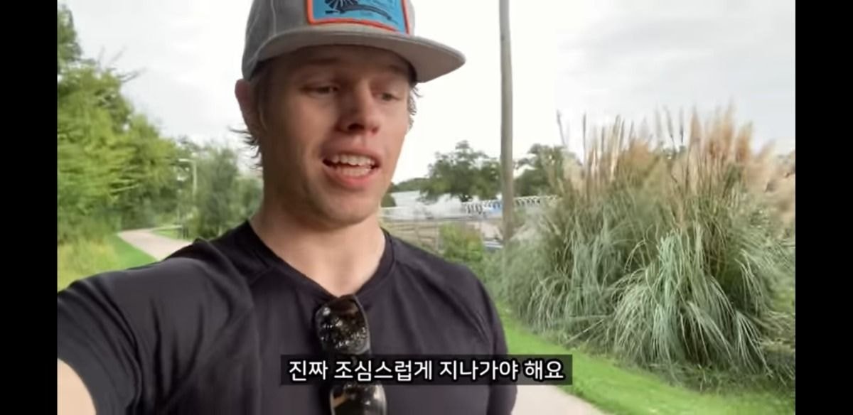 미국에서 당연시된다는 애견 문화 | 인스티즈