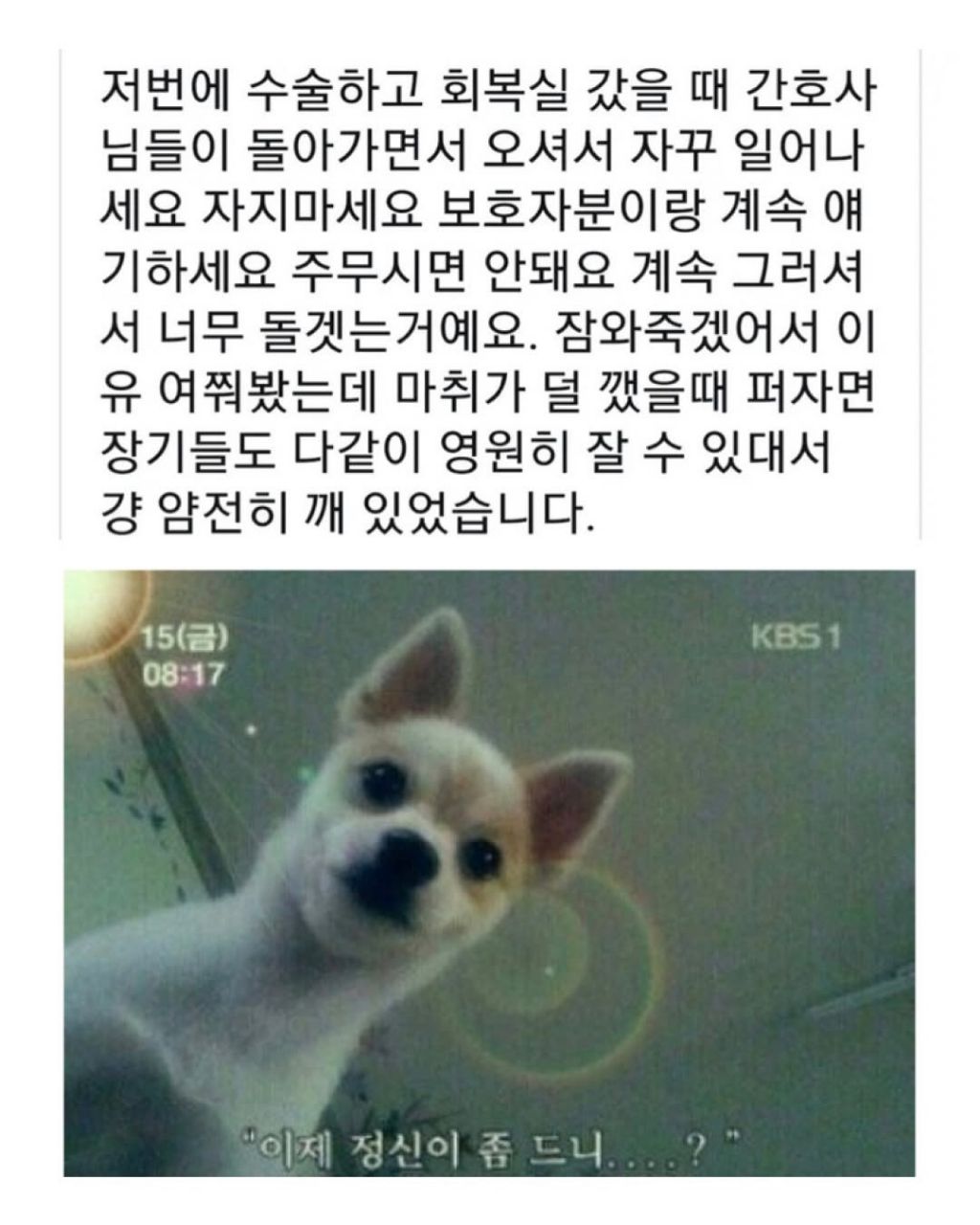 의사가 나를 하찮게 취급해야 좋다는곳 | 인스티즈