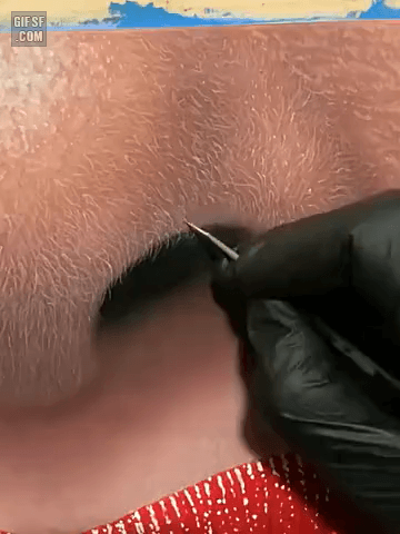 극사실주의 그림 | 인스티즈