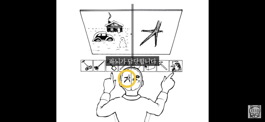 (스압)분리 뇌 실험 | 인스티즈