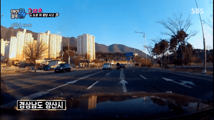 답이 없는 바이크 사고들.. | 인스티즈