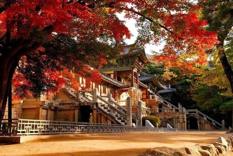 수학여행을 경주로 가는 이유.jpg | 인스티즈