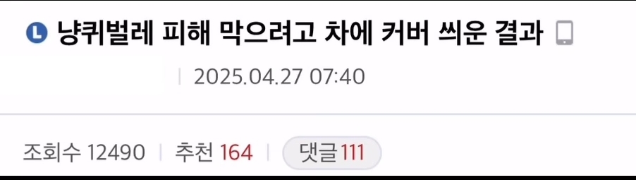 고양이 피해막으려고 차에 커버 씌운결과 | 인스티즈