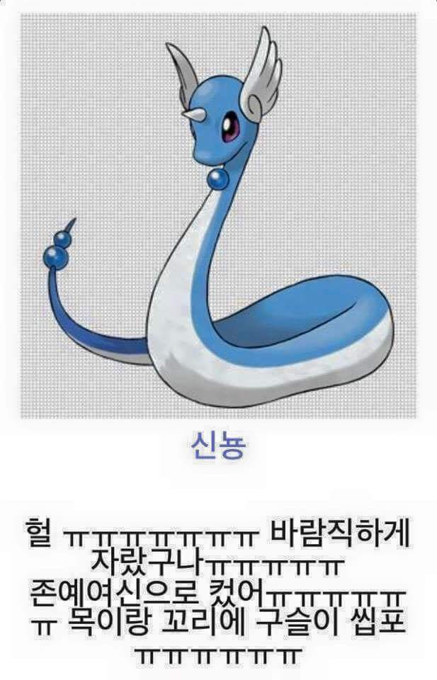 진화하면 역변하는 포켓몬들 | 인스티즈