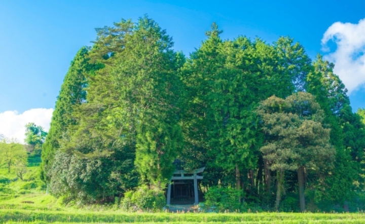 애니메이션 배경풍 사진 찍는 일본 여고생들 | 인스티즈