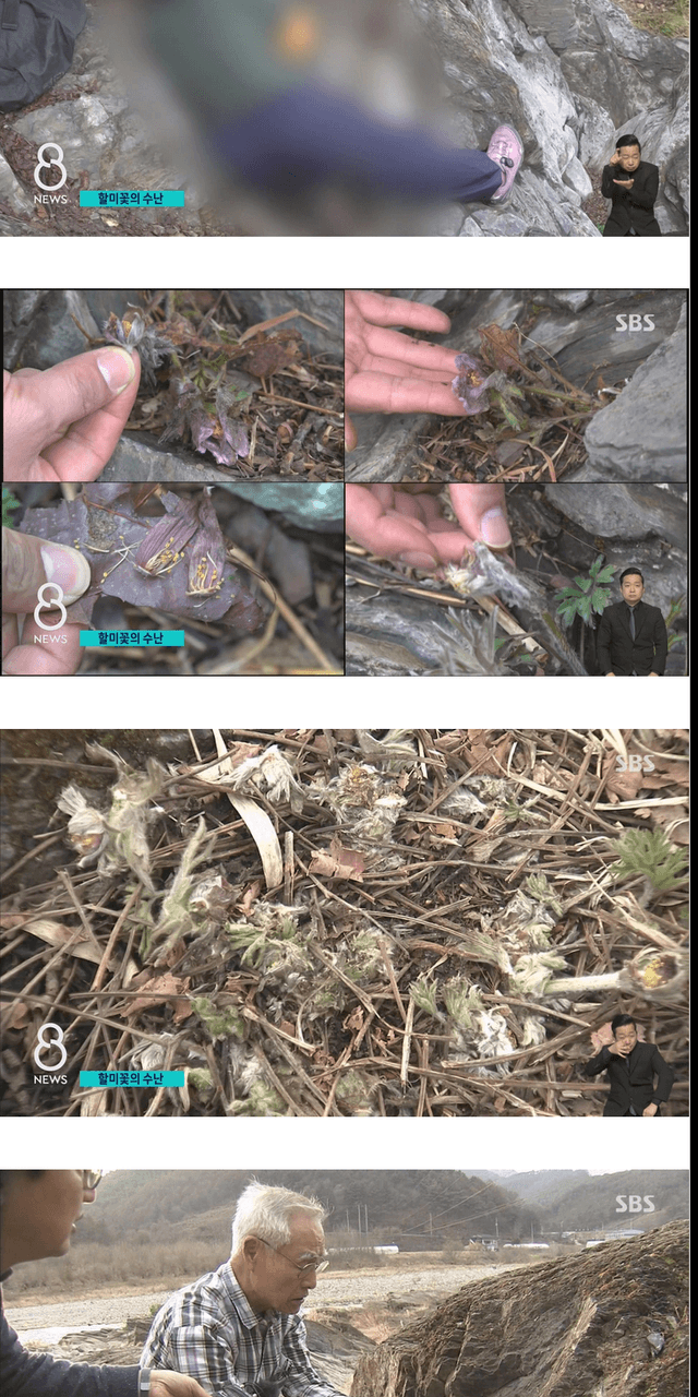 사진작가들이 사진찍고 피사체를 훼손하는 이유 | 인스티즈