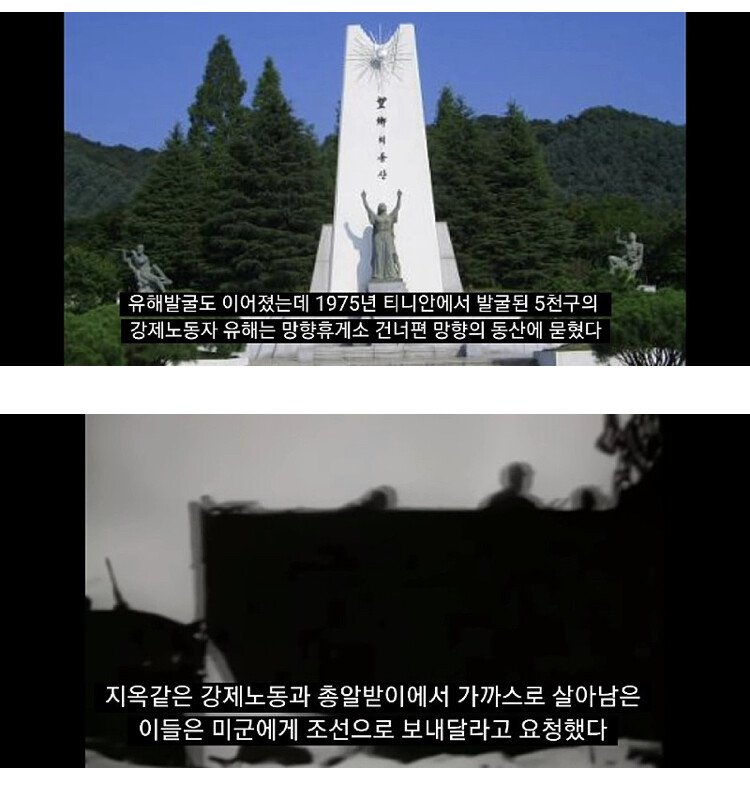 한국계가 살고있는 섬 | 인스티즈