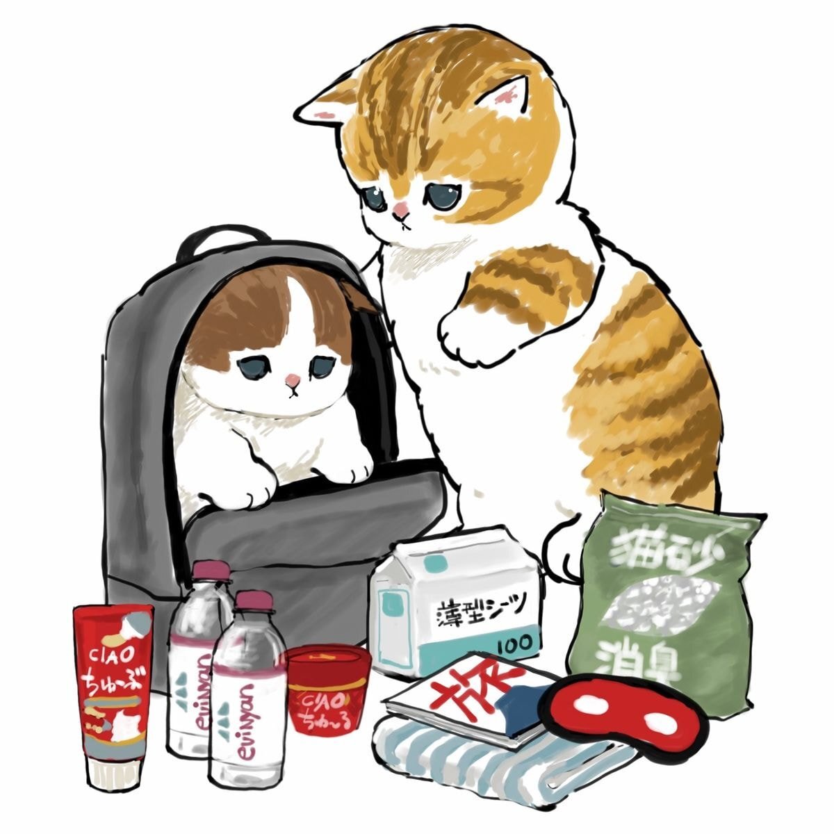 세상에서 고양이 제일 귀엽게 그리는 일러스트레이터 | 인스티즈